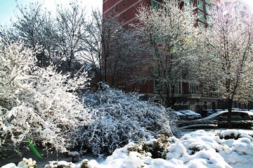 IMG_0936.jpg