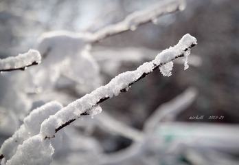 IMG_0940.jpg