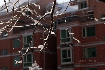 IMG_0945.jpg