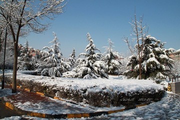 IMG_0986.jpg