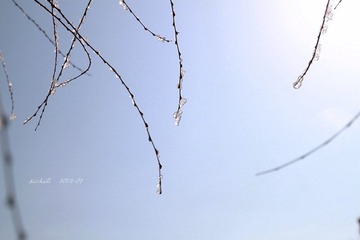 IMG_1016.jpg