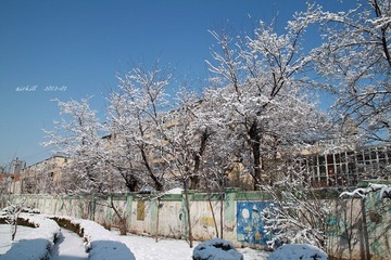 IMG_1059.jpg