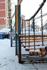 IMG_1064.jpg