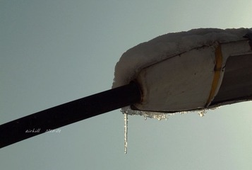 IMG_1073.jpg
