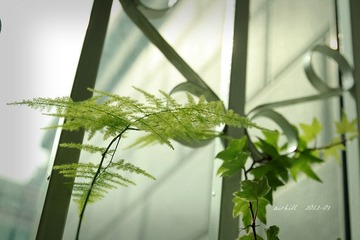 IMG_0747.jpg