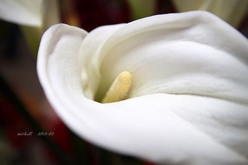 IMG_0512.jpg