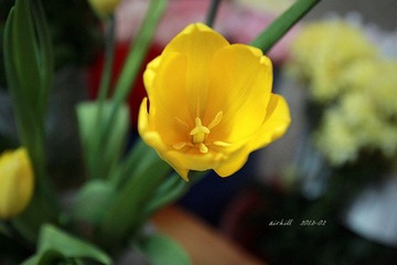 IMG_0514.jpg