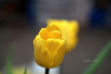 IMG_0515.jpg