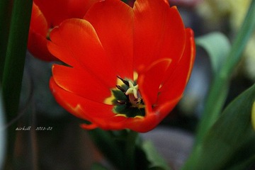 IMG_0516.jpg