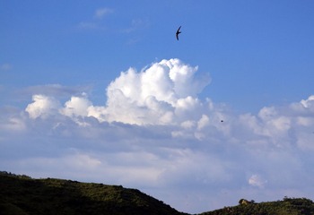 _MG_0063.jpg