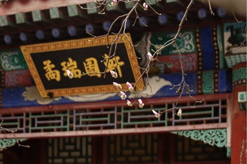 照片 040