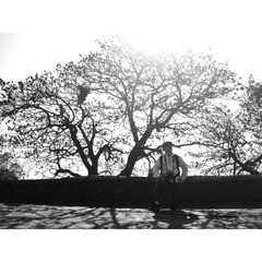 IMG_2815-01