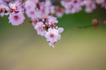 93834
