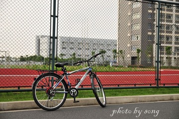 sigma1750 09.jpg