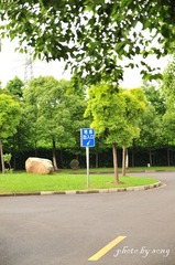 sigma1750 11.jpg
