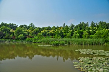 炮台湾公园-5.jpg