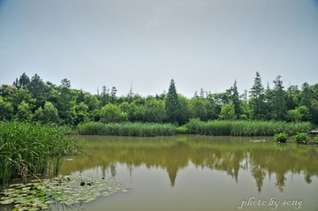 炮台湾公园-6.jpg