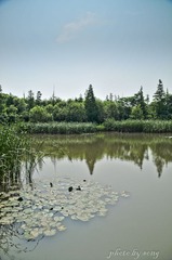 炮台湾公园-7.jpg