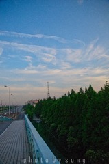夕阳-1.jpg