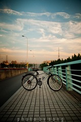 夕阳-4.jpg