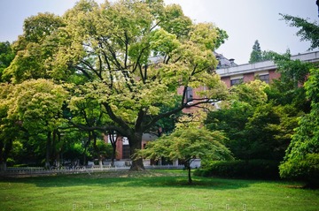 复旦-10.JPG