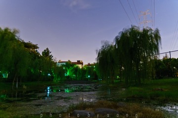夜色-9.JPG