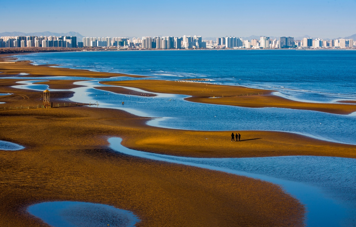 体现北戴河海边滩涂的美