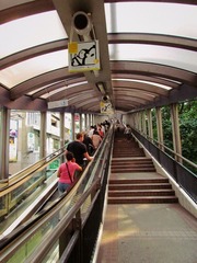IMG_2536.JPG