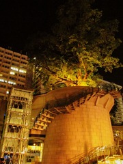 IMG_2649.JPG