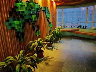 IMG_2928.JPG
