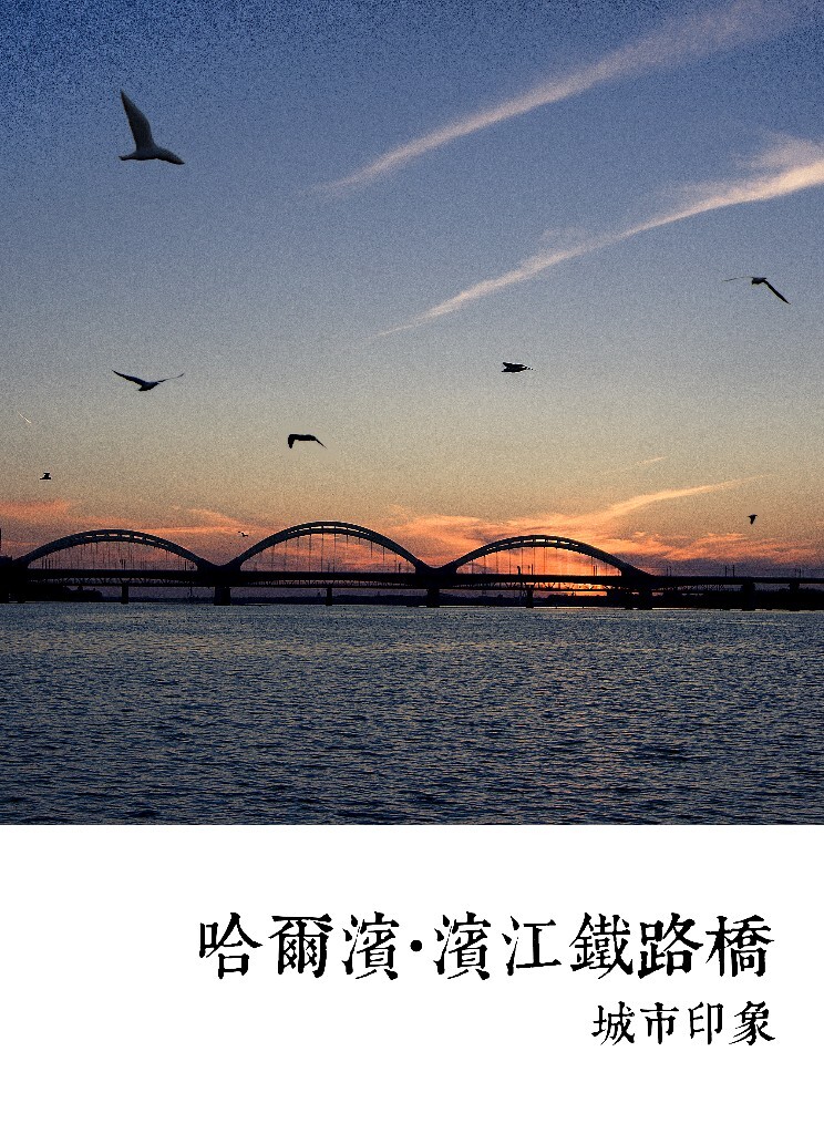 实在是偶然发现哈尔滨也有过江的轮渡，在船上留下一个铁路桥的剪影。满江的水鸟。