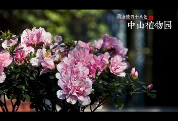 中山植物园
