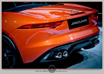 GAO_28170.jpg