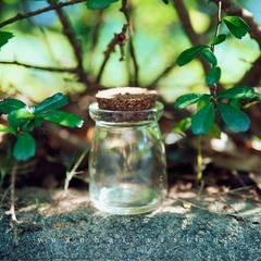 _MG_42841.jpg