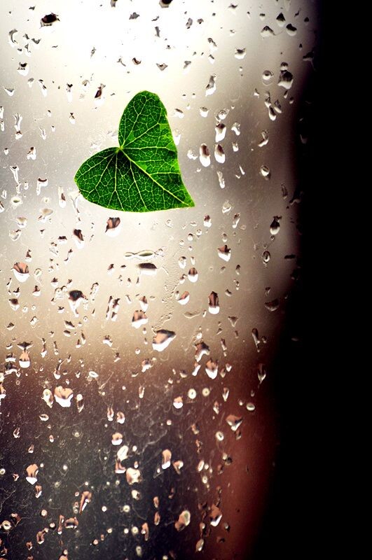 心雨<br />
雨天心情。。。。。。