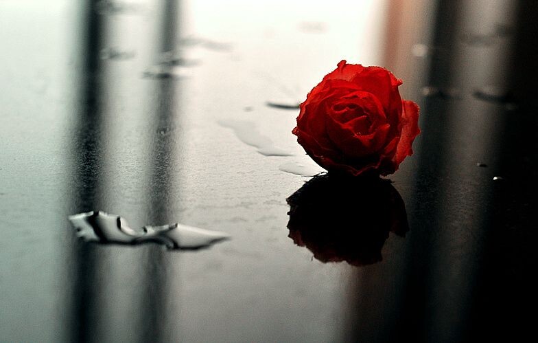心雨<br />
雨天心情。。。。。。