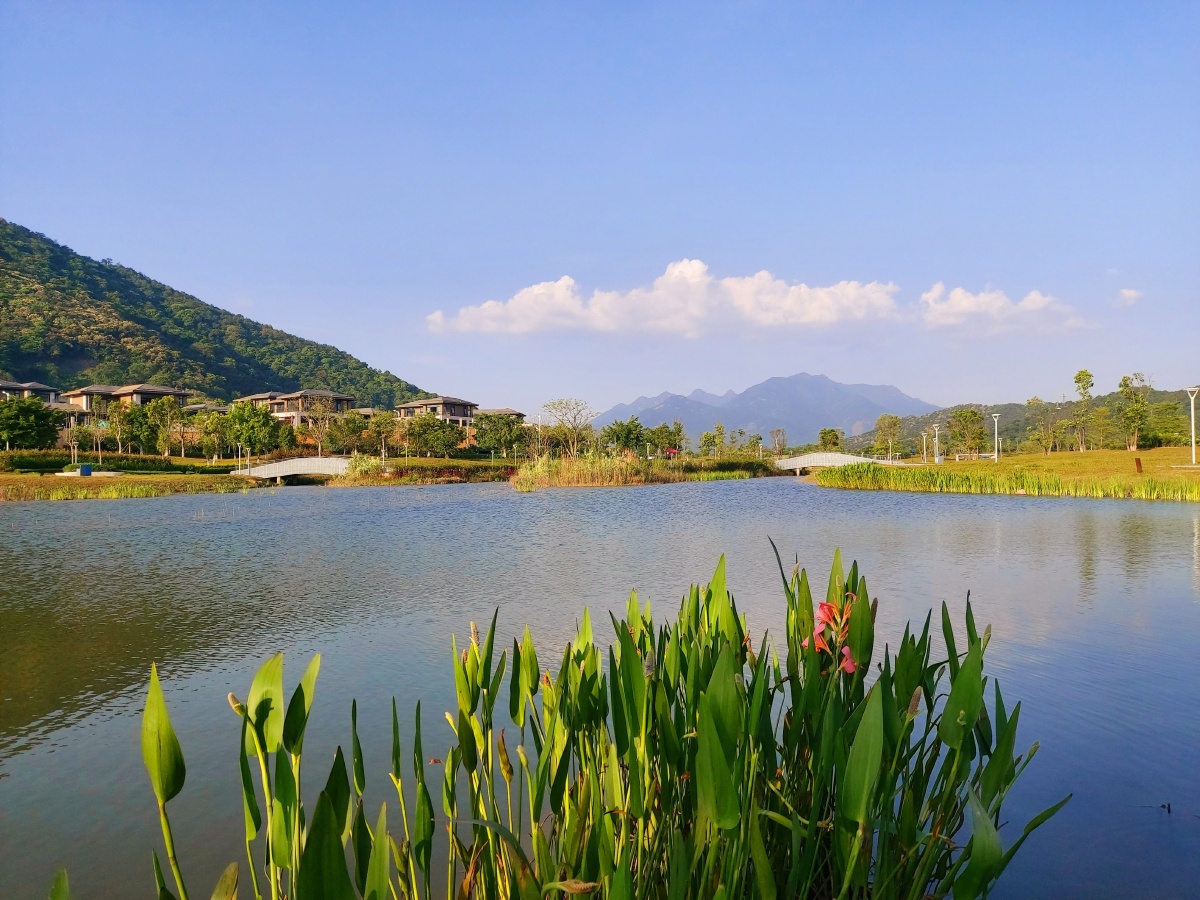 湿地公园之休闲区