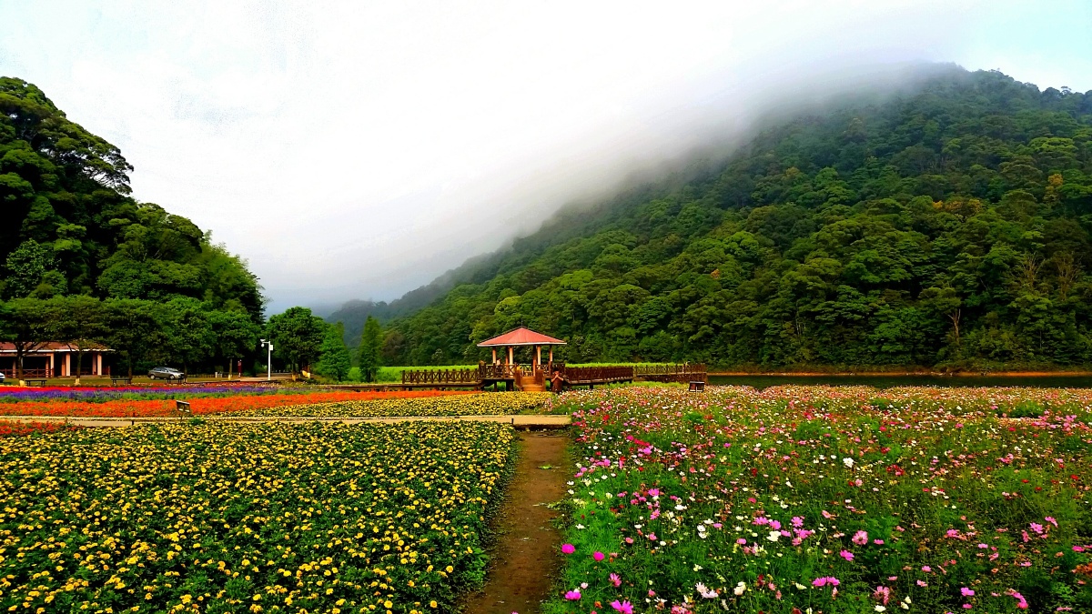 石门花海系列~3