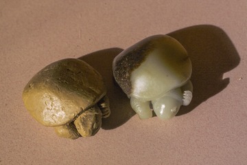 D84H9798