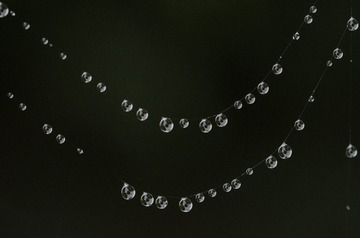 510613