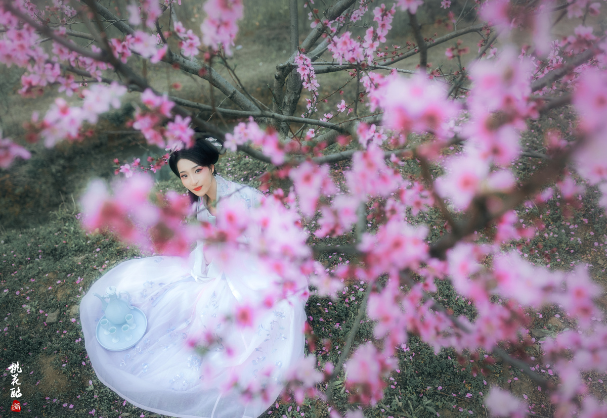 汉服《桃花酿》