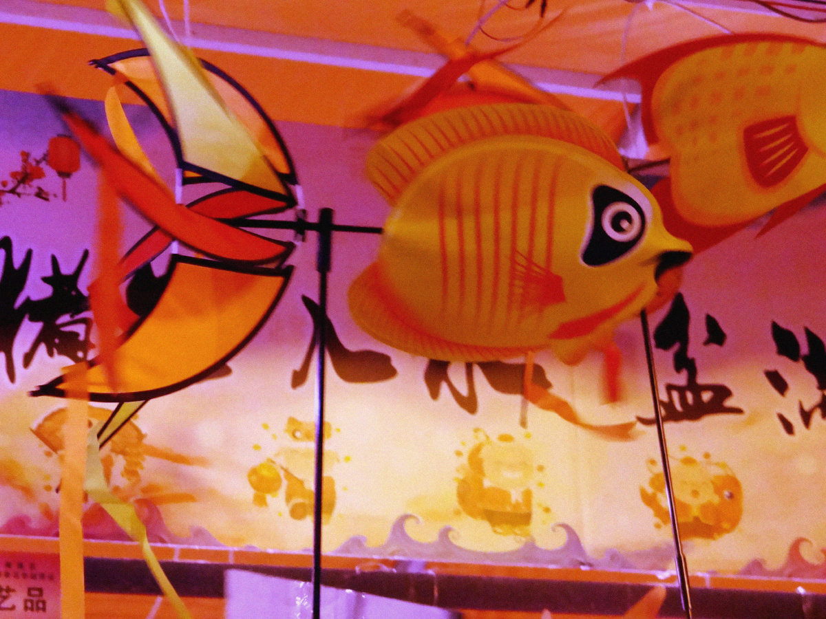 风车之年年有鱼