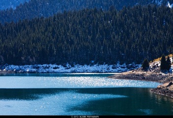 IMG_0163.jpg