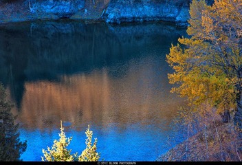IMG_0254-1.jpg