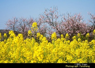 20110328-IMG_0033