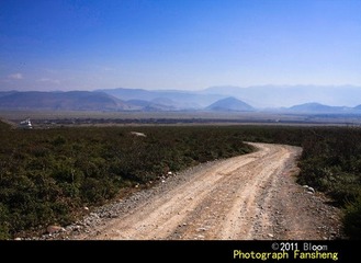 20110412-IMG_0601