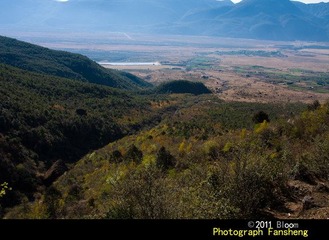 20110417-IMG_1103