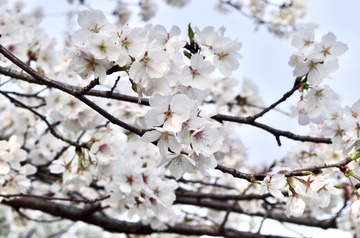 1647A303-0CB9-4F90-A798-DB7EE407C1EE/L0/001