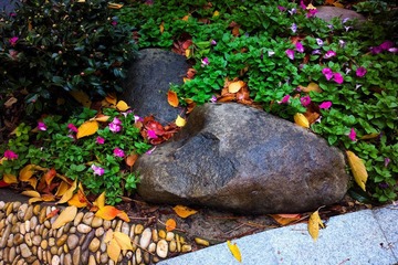 2012-11-22-0466.jpg