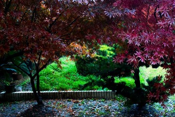 2012-11-22-0475.jpg